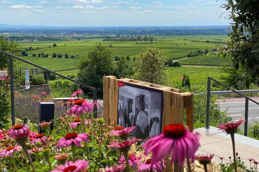 Ruhe Und Entspannung Erpolzheim Exteriér fotografie